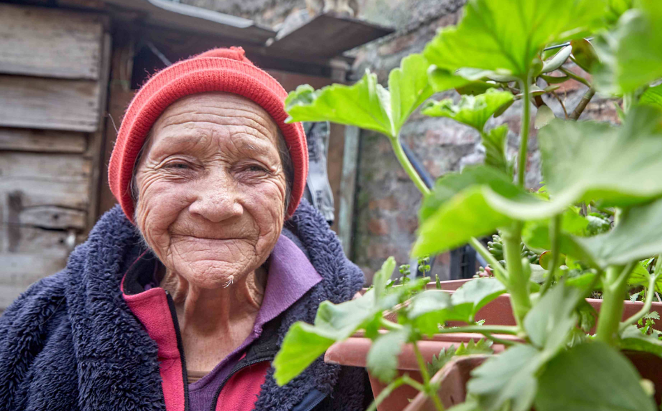 Estufa para Rosa Kern
