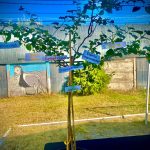 Materiales para Villa Esmeralda