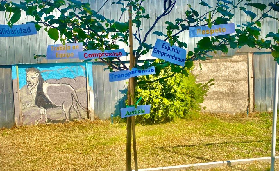 Materiales para Villa Esmeralda