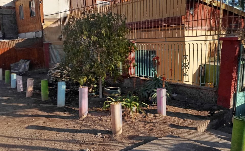 Cercado para plantas