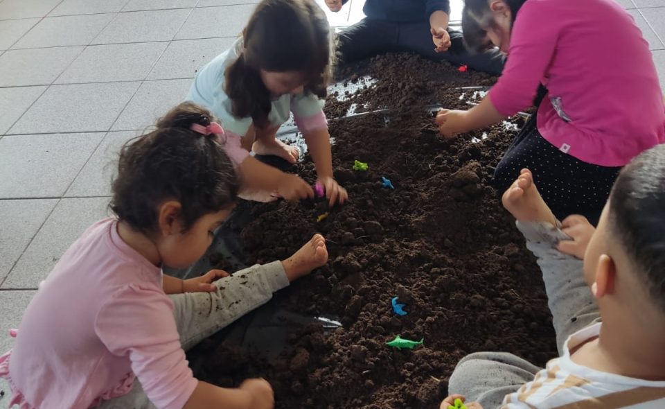 Pequeños Composteros Rucahue