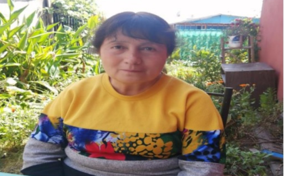 Un hogar para Eniglis