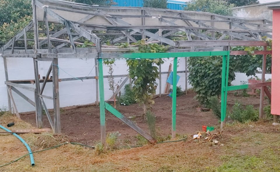 Reparemos el invernadero