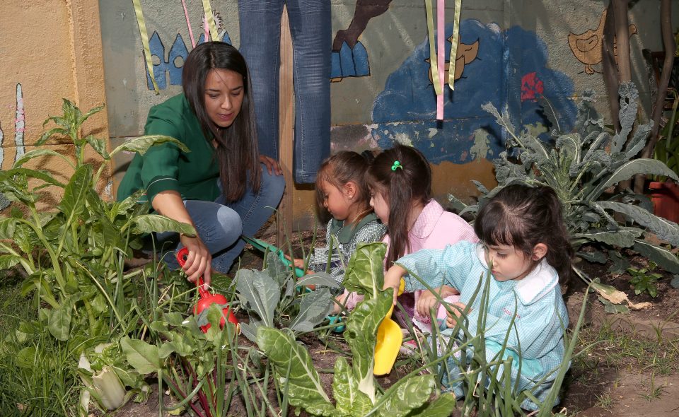 ¡Huerto Educativo!