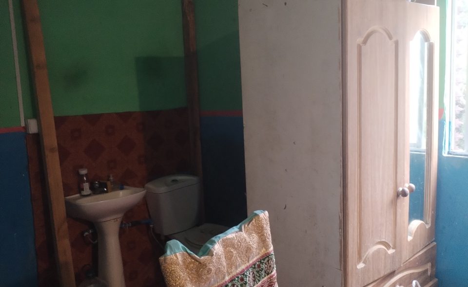 Imagen de galería