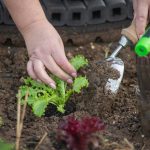 Un jardín para explorar
