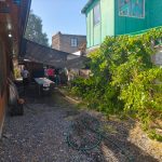 Bajo la Parra: Un Espacio para Compartir y Crecer