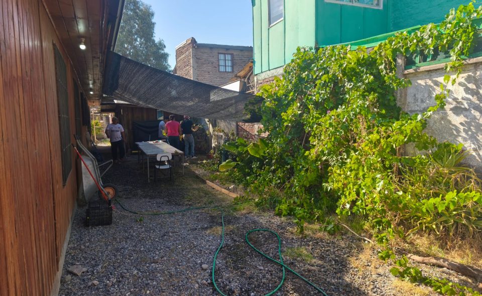 Bajo la Parra: Un Espacio para Compartir y Crecer
