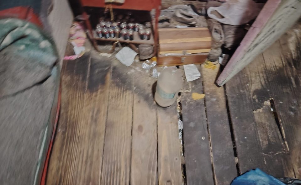 Imagen de galería