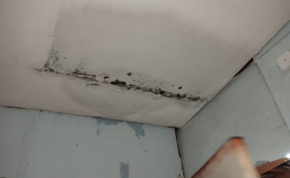 Imagen de galería