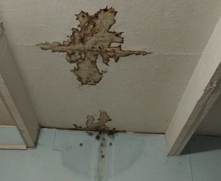 Imagen de galería