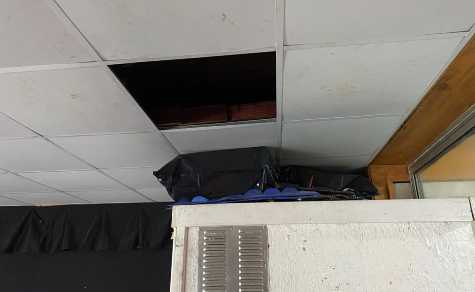 Imagen de galería