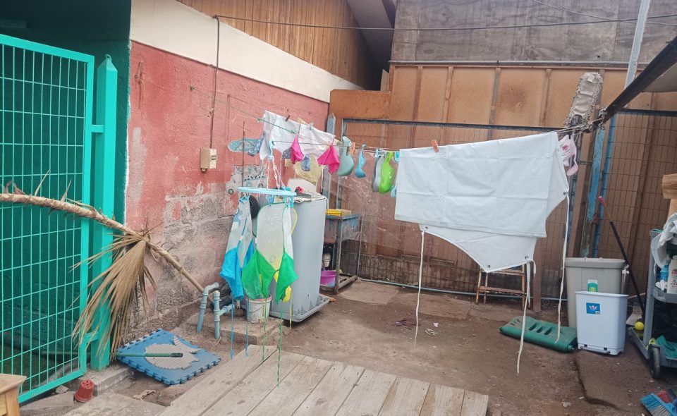 Imagen de galería