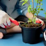 Cultivando aprendizajes