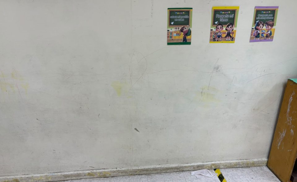 Imagen de galería