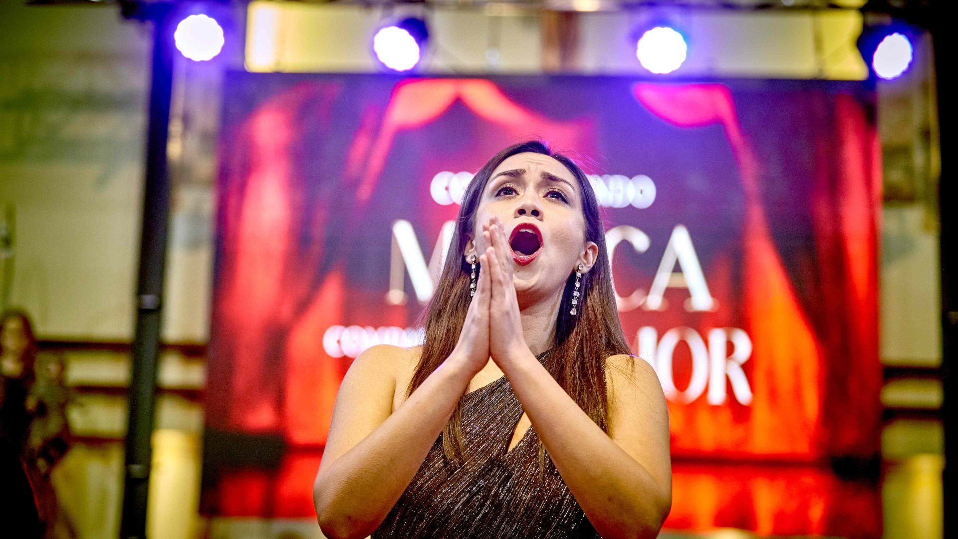 Miniatura de galería