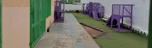 Jardín infantil: De cómo el temporal se llevó hasta el pasto