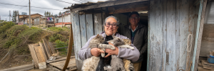 Margarita: Una casa al borde, 10 gatos y ninguna solución
