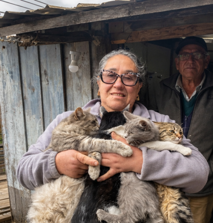 Margarita: Una casa al borde, 10 gatos y ninguna solución